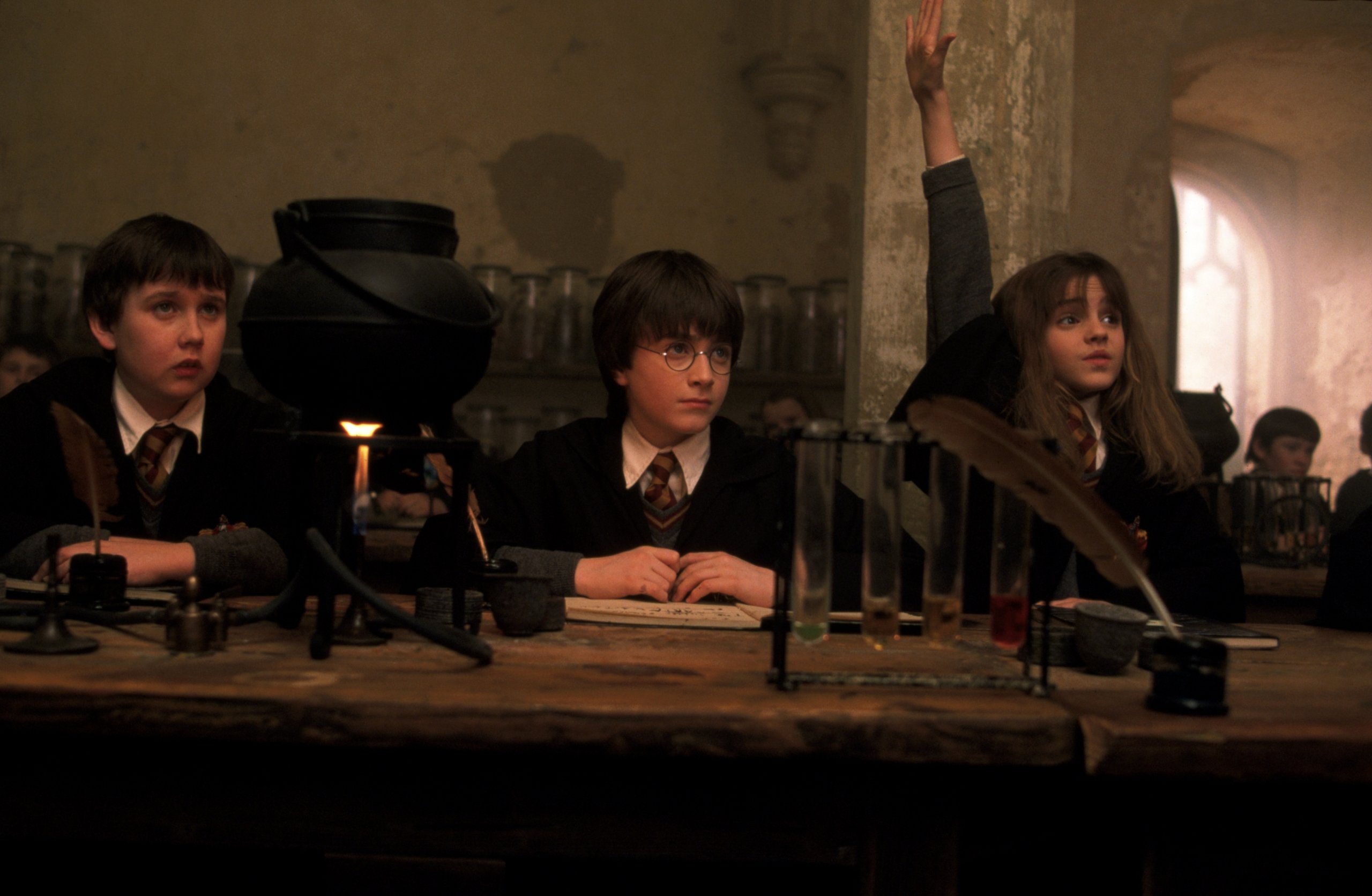 Film Harry Potter und der Stein der Weisen [DVD] von Chris Columbus