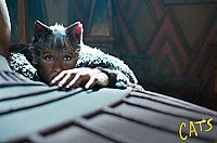 Cats [Blu-ray], 5