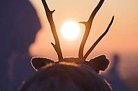 Ailos Reise [Blu-ray], 3