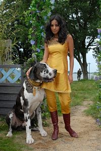 Morgen, ihr Luschen! Der Ausbilder-Schmidt-Film [DVD], 4