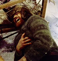 Ruf der Wildnis [DVD], 5