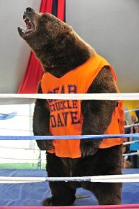 Knucklehead - Ein bärenstarker Tollpatsch [DVD], 4