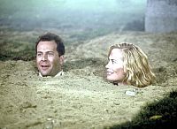 Moonlighting - Das Model und der Schnüffler - Staffel 5 [DVD], 2