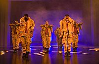 Stomp the Yard [DVD], 2