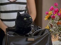 Sabrina - Verhext in Rom [DVD], 1