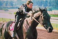 Der Schwarze Hengst - Der Schwarze Hengst kehrt zurück [DVD], 7