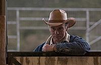 American Black Beauty [DVD], 5