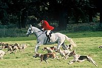 Inspector Barnaby - Staffel 9 [DVD], 2