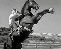 Fury - Die Abenteuer eines Pferdes Volume 3 [DVD], 4