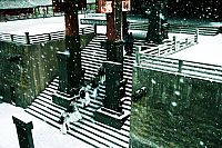 White Vengeance - Kampf um die Qin-Dynastie [DVD], 3