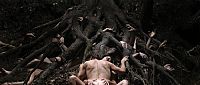 Antichrist [DVD], 2