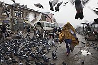 Syngué Sabour - Pierre de patience (VOST) [DVD], 6