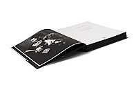 John & Yoko - Plastic Ono Band, 4