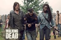 The Walking Dead - Staffel 9 [DVD], 9