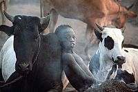 Nil - Fluss der Götter [DVD], 3