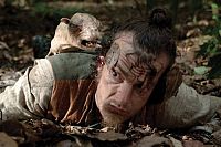 Black Sheep [DVD], 6