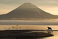 Im Land der Bären [Blu-ray 3D], 3