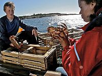 SOS - Ein spannender Sommer [DVD], 6