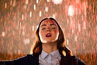 Die Sehnsucht der Falter [DVD], 5