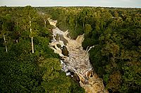 Das Geheimnis der Bäume  [Blu-ray], 3