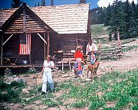 Noch mehr Abenteuer der Familie Robinson in der Wildnis [Blu-ray], 3