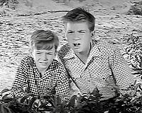 Fury - Die Abenteuer eines Pferdes Volume 3 [DVD], 3