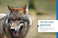 Was Hunde wirklich wollen, 3