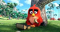 Angry Birds - Der Film [Blu-ray 3D], 3