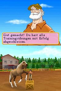 Abenteuer auf dem Reiterhof - Das schwarze Wildpferd [Nintendo DS], 5