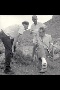 Alexis Sorbas [DVD], 5