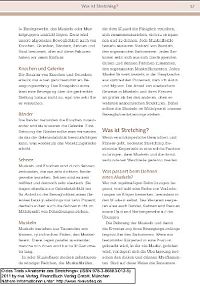 Anatomie des Stretchings, 1