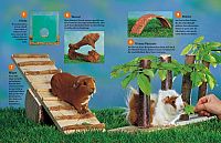 Mein Meerschweinchen und ich, 4