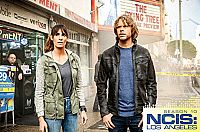 NCIS - Los Angeles - Staffel 10 [DVD], 9