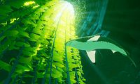ABZU [Sony PlayStation 4], 4