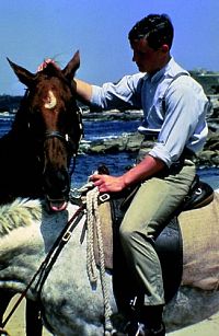 Phar Lap - Legende einer Nation  [DVD], 9