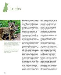 Tierkinder im Zoo, 1