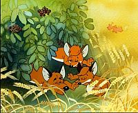 Vuk - Der kleine Fuchs [DVD], 3