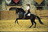 Electric Boogaloo [Blu-ray], 4