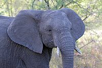 Best Of Unser faszinierender Planet [Blu-ray 3D], 5