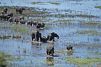 Die grössten Naturereignisse [DVD], 5