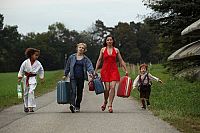 Fliegende Fische müssen ins Meer [DVD], 2