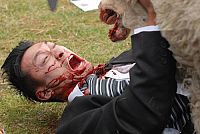 Black Sheep [DVD], 2