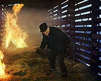 Jack London: Ein Zug für 2 Halunken - Remastered Edition [DVD], 2