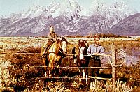 Mein grosser Freund Shane  [Blu-ray], 2