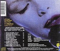 The Fabulous Baker Boys [CD], 1