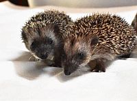 Eine Handvoll Glück, 3