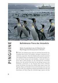 Pole, Packeis, Pinguine, 1
