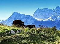 Sommer der Gaukler [DVD], 5