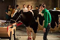 Gaston - Katastrophen am laufenden Band [Blu-ray], 4