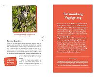 Die Superkräfte der Vögel, 3